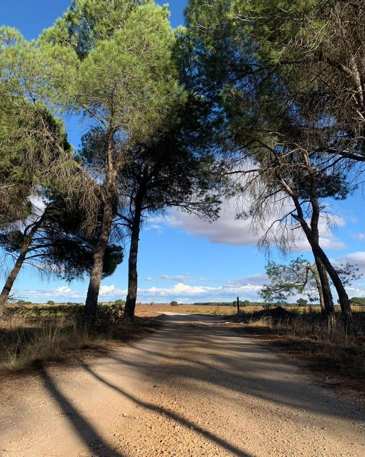 ויארובלדו Casa Rural La Navarra מראה חיצוני תמונה